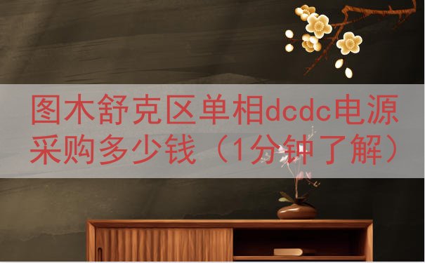 图木舒克区单相dcdc电源采购多少钱（1分钟了解）